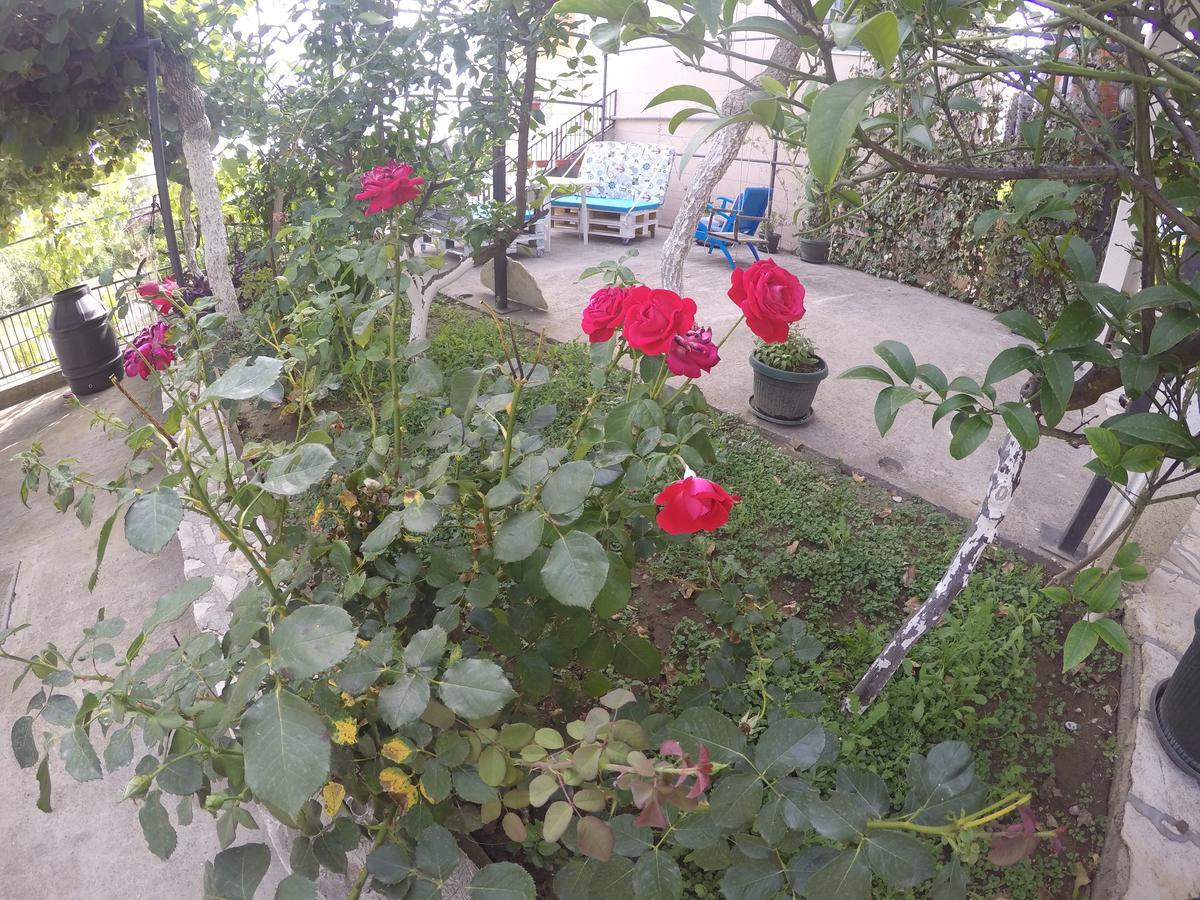 Holiday Home Free Your Mind Dobra Voda Ngoại thất bức ảnh